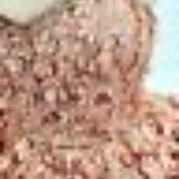 Evening by ECI Strapless Floral Applique Blush Dress Size 4 - Picture 6 of 11